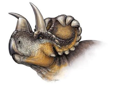 wendiceratops_0